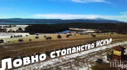 първо пик шефът днск извънредна инспекция незаконно строителство ловно стопанство искър