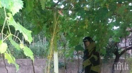 военни унищожиха невзривени ръчни гранати