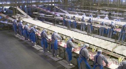 потвърдени случая коронавирус датска кланица