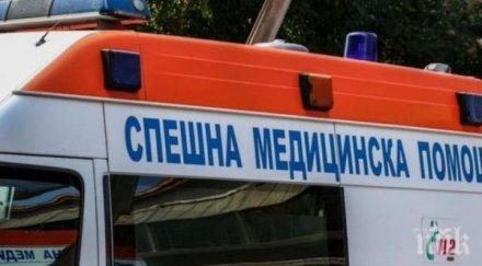 драстичен ръст сигналите заразено салмонела полско пилешко месо