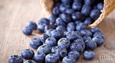 полезно дивата боровинка помага лечението рани