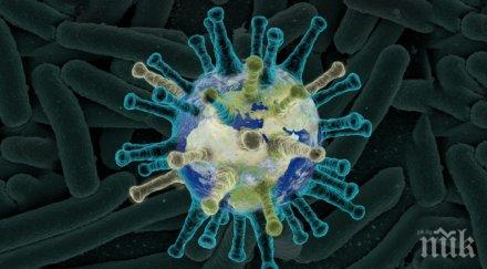 стралджа забраниха масовите събирания