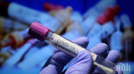 учени установиха covid уврежда обонянието