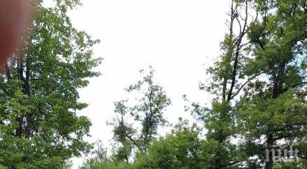 депутати нфсб поклониха паметта войводата хаджи димитър снимки