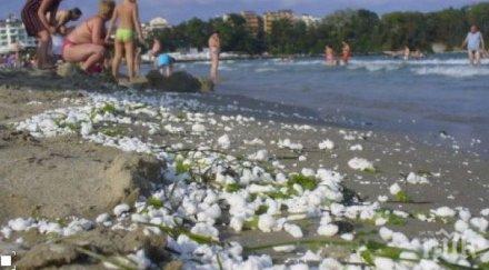 мазни топчета изплуват плажове южното черноморие