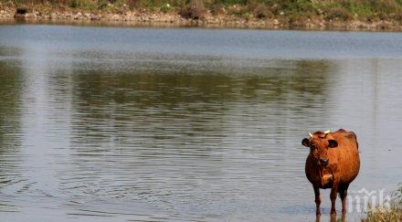 язовирите питейна вода пълни