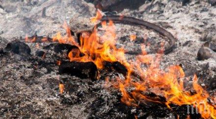 автомобил трактор 450 бали изгоряха пожари