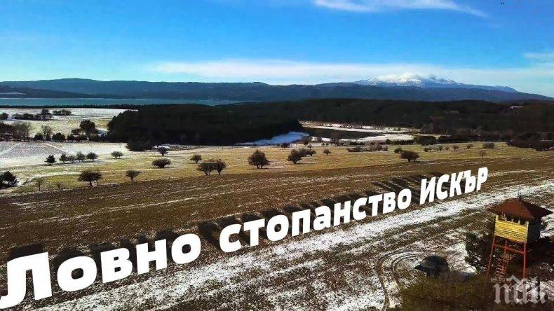 ПЪРВО В ПИК: Шефът на ДНСК на извънредна инспекция за незаконно строителство в ловно стопанство Искър