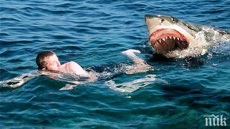 ШАНС: Сърфист оцеля след атака на акула