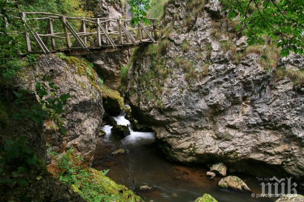 Кметски наместници и общинари чистят екопътеката в Трън

