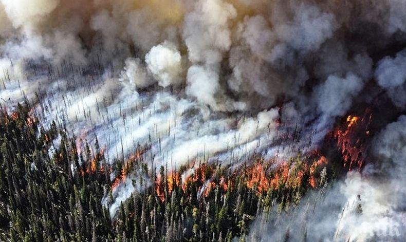 Горските пожари в Сибир се разрастват