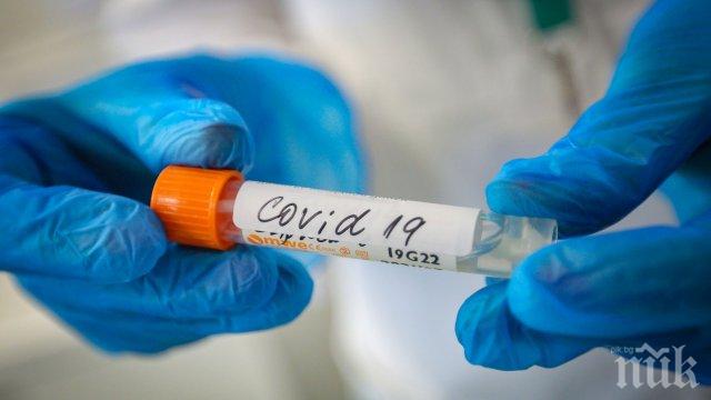 Бум на заразата в Смолянско - ето колко души пипнаха COVID-19 за денонощие
