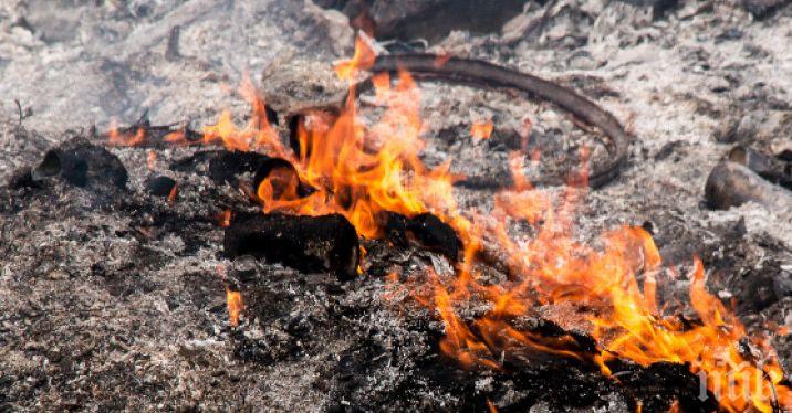 Две пожарни гасят пламъци край КАТ-Пловдив
