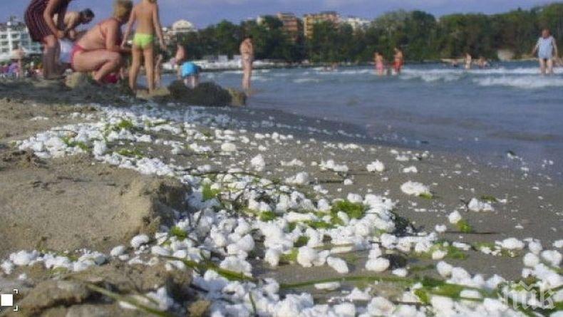 Мазни топчета изплуват на още плажове по Южното Черноморие