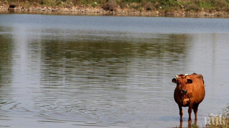 Язовирите за питейна вода са пълни на 70%