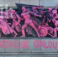 Паметникът на Съветската армия осъмна в розово (снимки) Паметникът на Съветската армия осъмна в розово (снимки)