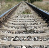 паднало дърво спря движението влакове две села дунавската равнина