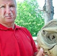 Находка! Откриха глава на извънземно в гробище

