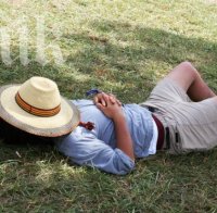 Черногорци раздават награди за най-дълго лежане на сянка