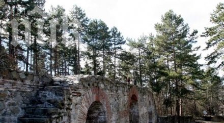 пиромани нападнаха парк хисарлъка кюстендил