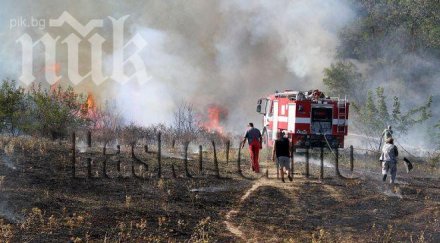 нов огнен синьо бърдо община роман