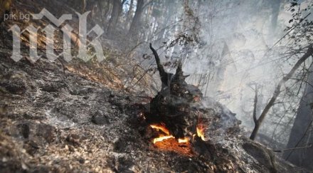 продължава гасенето пожара свиленград