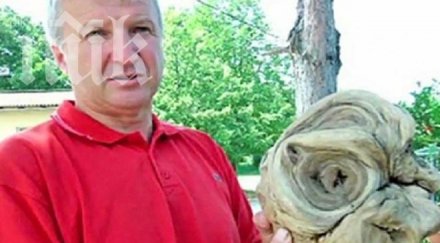 находка откриха глава извънземно гробище