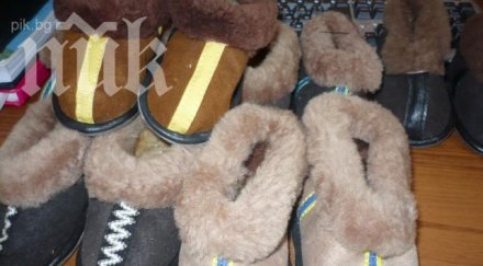 занесоха пантофи росен плевнелиев бил чехъл