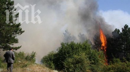 пращат сухопътни войски гасят пожара стара загора