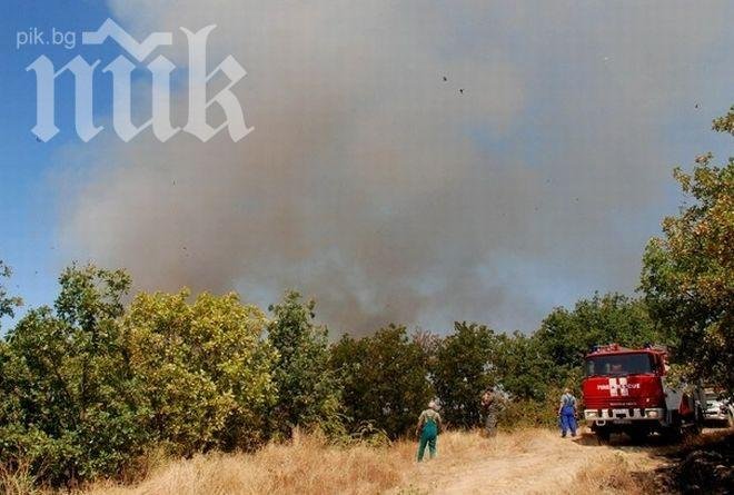 Пожарът край Свиленград все още не е загасен