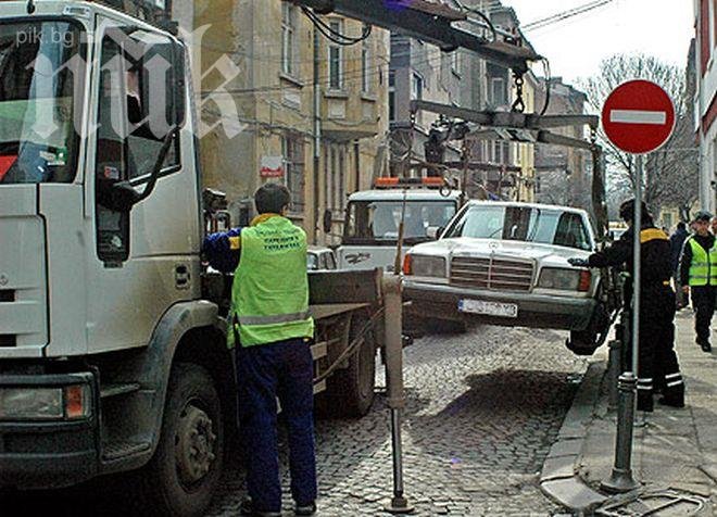 По 200 коли на ден лапнати от паяци в столицата