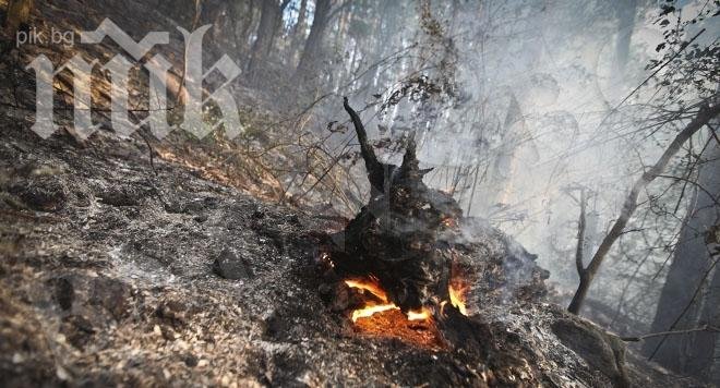 Продължава гасенето на пожара край Свиленград