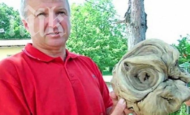 Находка! Откриха глава на извънземно в гробище

