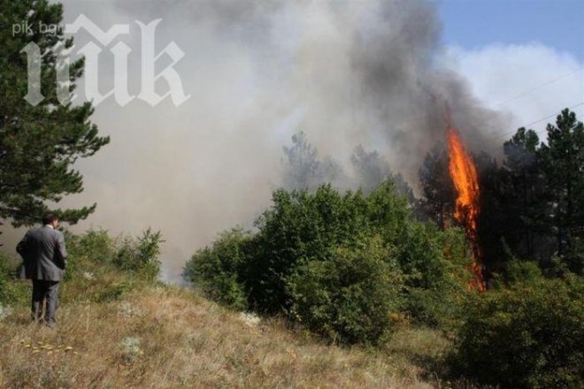 Пращат сухопътни войски да гасят пожара над Стара Загора