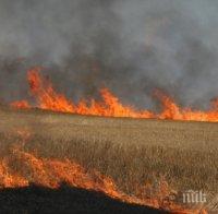 ОГНЕНА СТИХИЯ: 15 области в страната са под угроза от пожари (КАРТА)