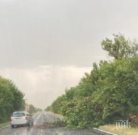 Гръмотевици събарят дървета по пътя за Хасково