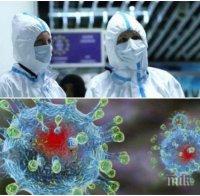 ПЪРВО В ПИК: 195 са новите случаи на заразени с коронавирус, седем души починаха
