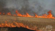 ОГНЕНА СТИХИЯ: 15 области в страната са под угроза от пожари (КАРТА)