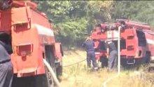 Пет пожарни гасят гората при Мало Крушево