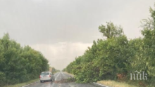 Гръмотевици събарят дървета по пътя за Хасково