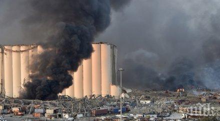 спешна медицинска помощ изпратиха ливан обучени кучета спасителни екипи