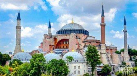 Храмът Света София в Истанбул си има нов опашат талисман (СНИМКА)