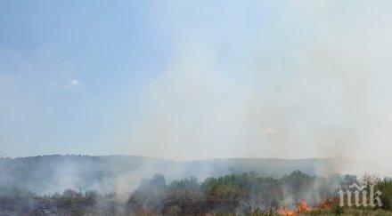 300 декара растителност горят ямболско