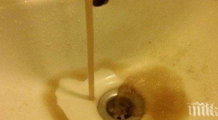 кал бликна чешмите рибново