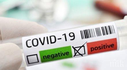 555 заразени коронавируса денонощие германия