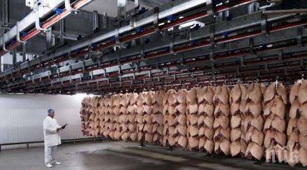 затвориха една големите кланици дания заради коронавирус