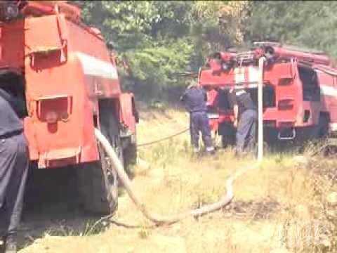 Пет пожарни гасят гората при Мало Крушево