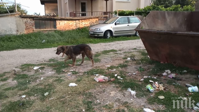 Криза с боклука в Карлово