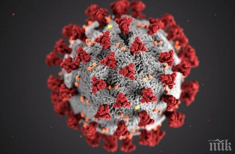 Повече случаи на коронавирус след облекчаване на карантината в Испания