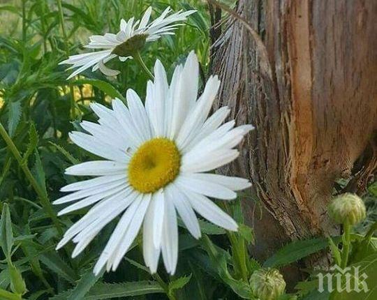 АСТРОЛОГИЯ: Не пийте алкохол, гладувайте и правете бавен секс